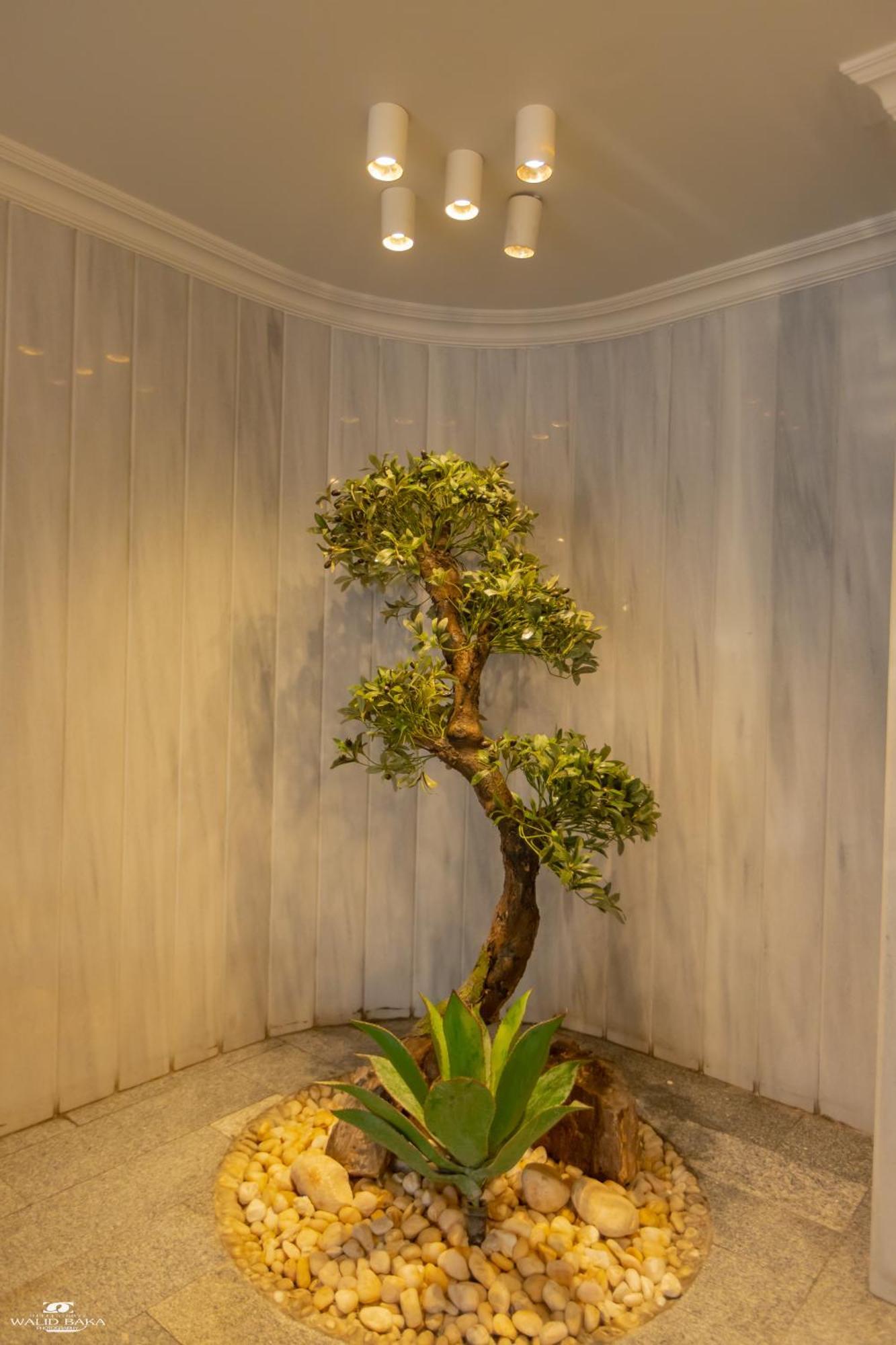El Farida Hotel Cairo Ngoại thất bức ảnh